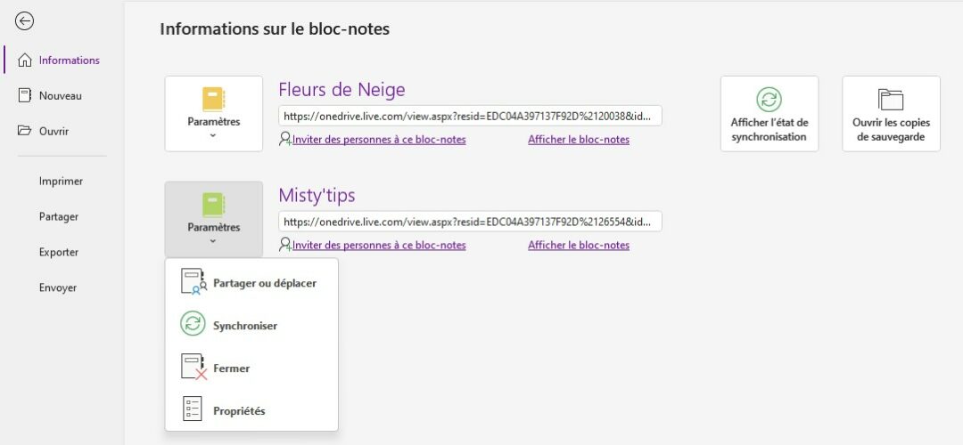 Onenote Dossier OneNote : Gérer l'enregistrement de vos notes - Misty'tips