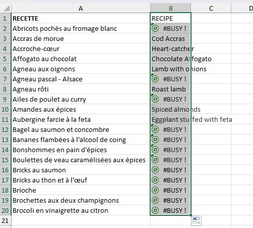 excel-traduire-06